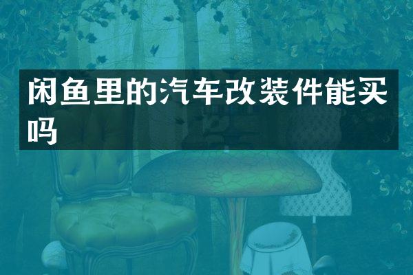 闲鱼里的汽车改装件能买吗