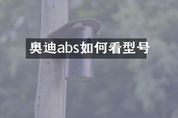 奥迪abs如何看型号