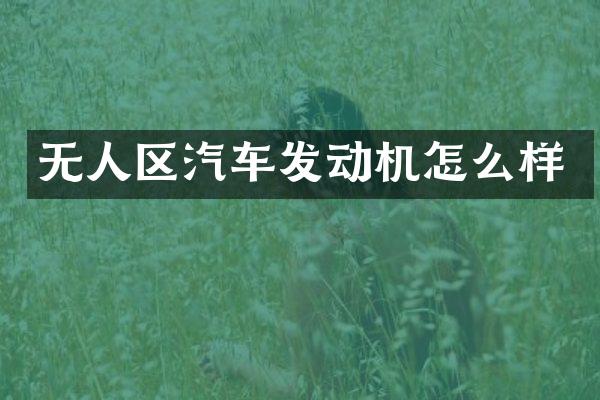 无人区汽车发动机怎么样