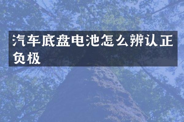 汽车底盘电池怎么辨认正负极