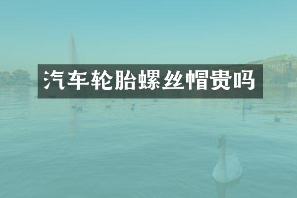 汽车轮胎螺丝帽贵吗