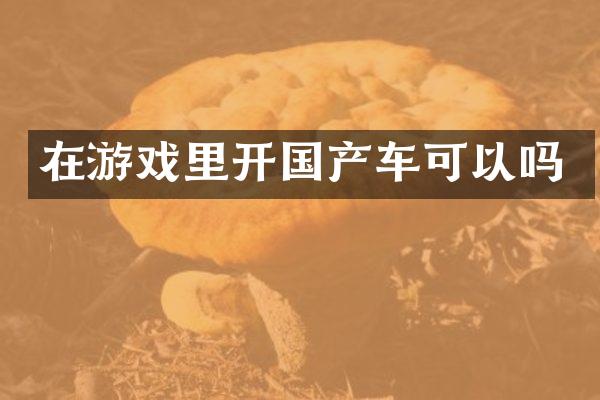在游戏里开国产车可以吗