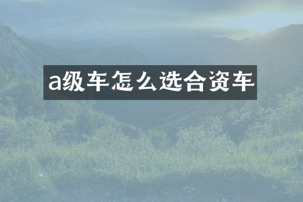 a级车怎么选合资车