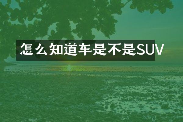 怎么知道车是不是SUV