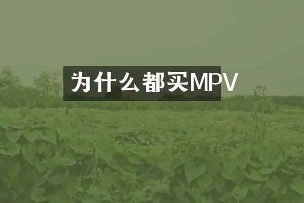 为什么都买MPV