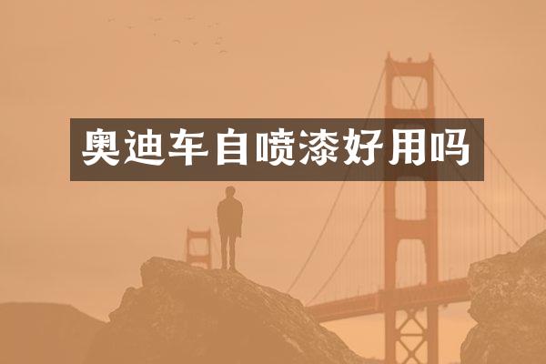 奥迪车自喷漆好用吗