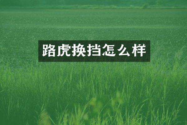 路虎换挡怎么样
