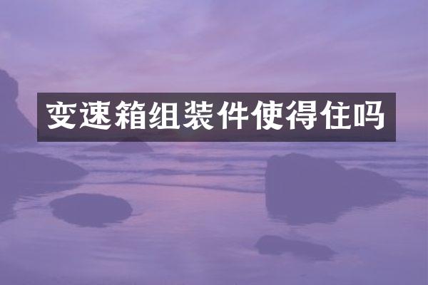 变速箱组装件使得住吗