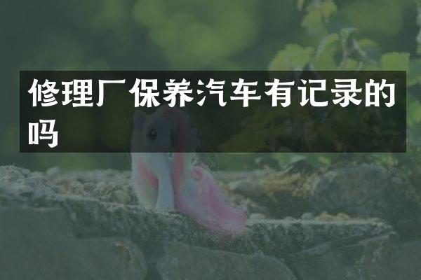 修理厂保养汽车有记录的吗