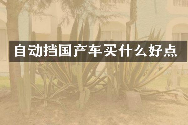 自动挡国产车买什么好点
