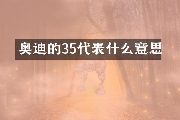 奥迪的35代表什么意思