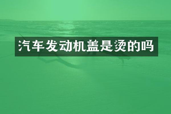 汽车发动机盖是烫的吗