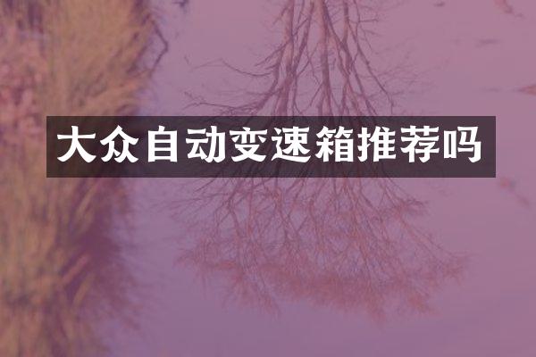 大众自动变速箱推荐吗