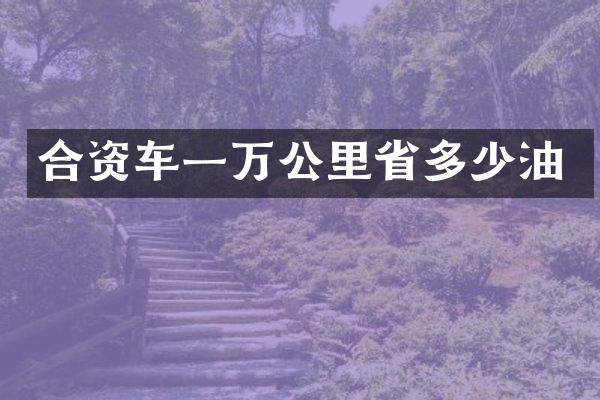 合资车一万公里省多少油