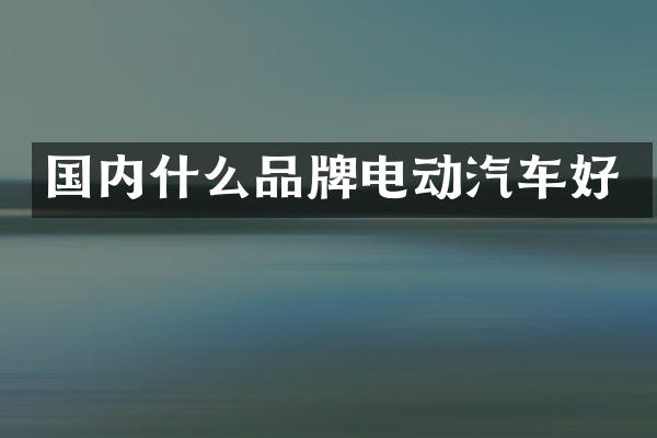 国内什么品牌电动汽车好