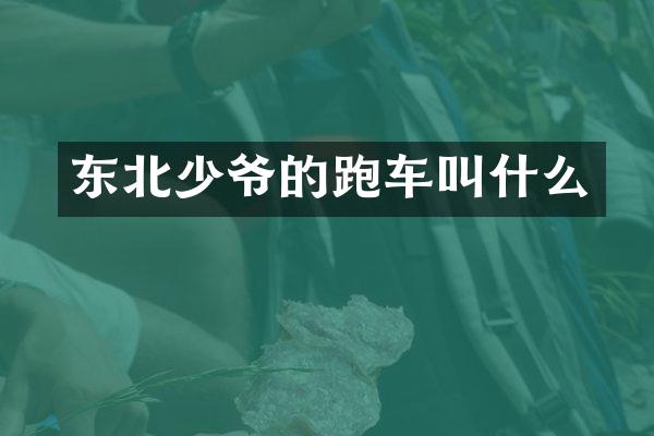 东北少爷的跑车叫什么