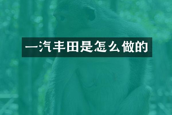 一汽丰田是怎么做的