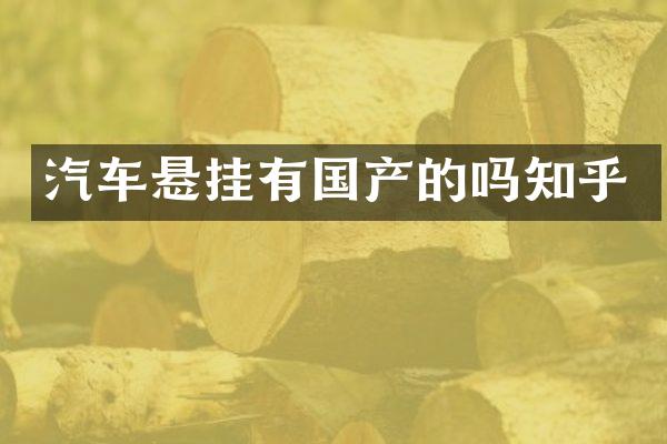 汽车悬挂有国产的吗知乎