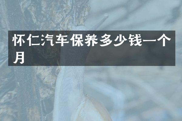 怀仁汽车保养多少钱一个月