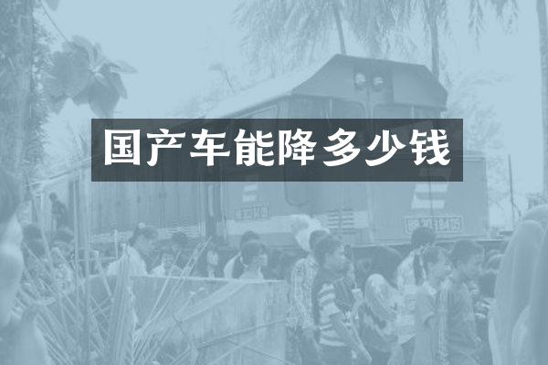 国产车能降多少钱