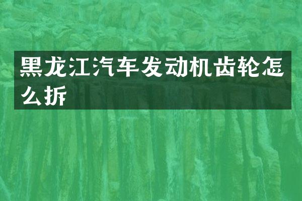黑龙江汽车发动机齿轮怎么拆