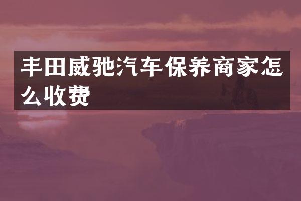 丰田威驰汽车保养商家怎么收费