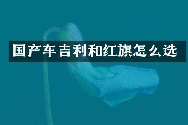 国产车吉利和红旗怎么选