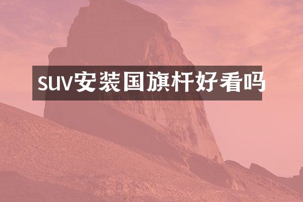suv安装国旗杆好看吗
