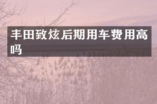 丰田致炫后期用车费用高吗