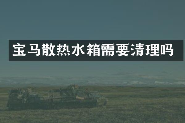 宝马散热水箱需要清理吗