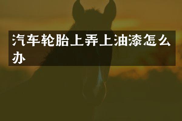 汽车轮胎上弄上油漆怎么办