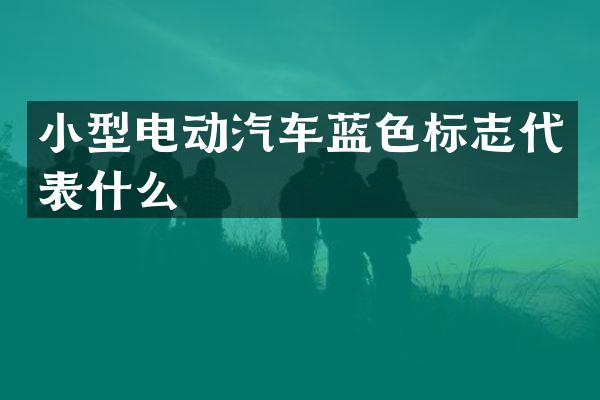 小型电动汽车蓝色标志代表什么