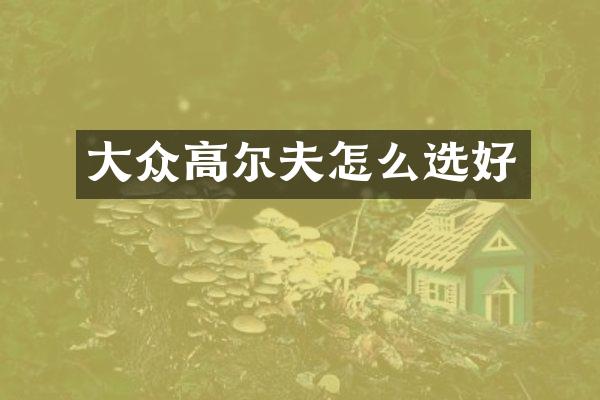 大众高尔夫怎么选好