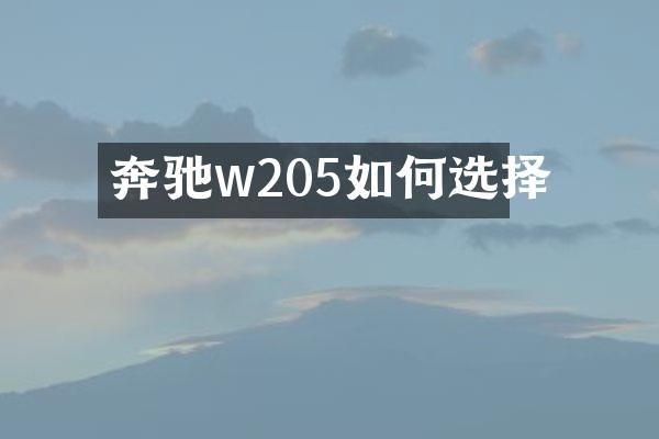 奔驰w205如何选择