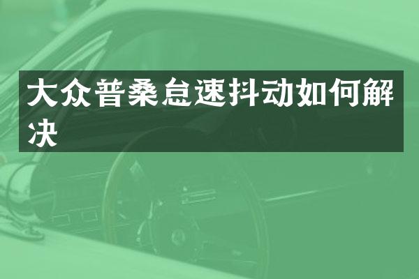 大众普桑怠速抖动如何解决