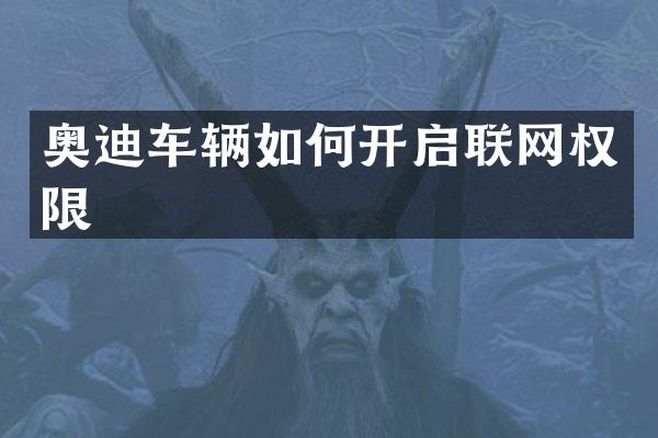 奥迪车辆如何开启联网权限