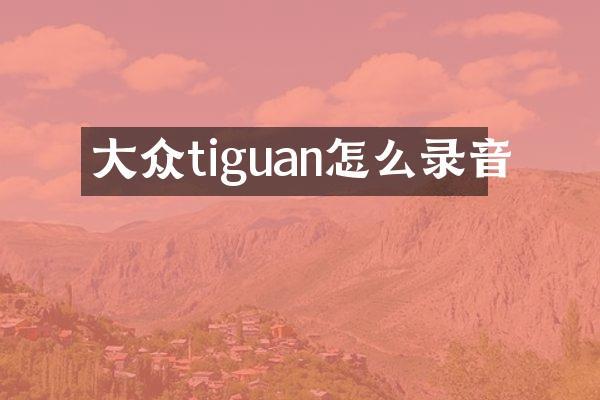 大众tiguan怎么录音