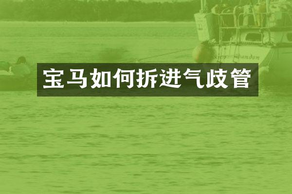 宝马如何拆进气歧管