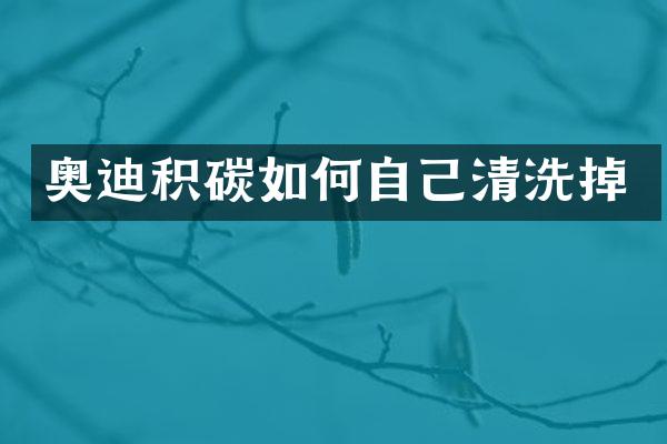 奥迪积碳如何自己清洗掉