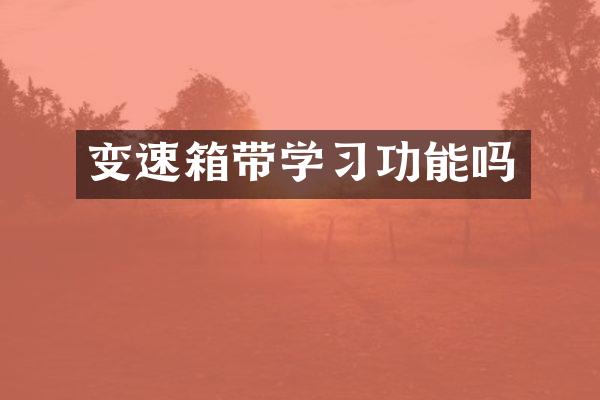 变速箱带学习功能吗