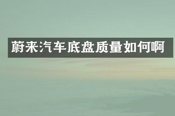 蔚来汽车底盘质量如何啊