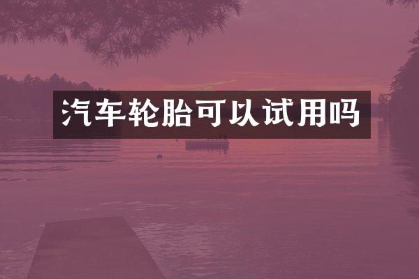 汽车轮胎可以试用吗