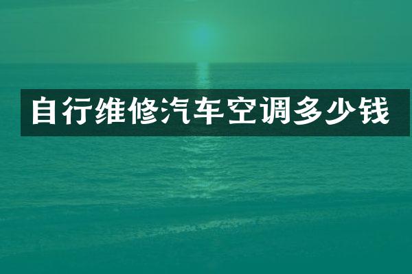 自行维修汽车空调多少钱