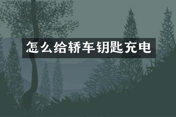怎么给轿车钥匙充电