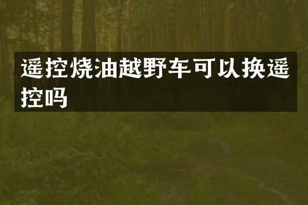 遥控烧油越野车可以换遥控吗