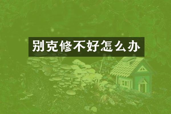 别克修不好怎么办