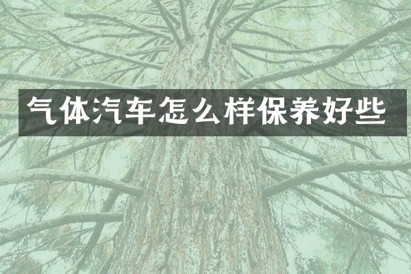 气体汽车怎么样保养好些