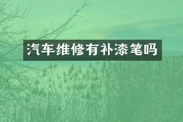 汽车维修有补漆笔吗