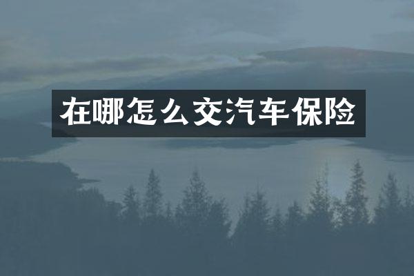 在哪怎么交汽车保险