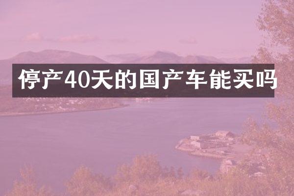 停产40天的国产车能买吗